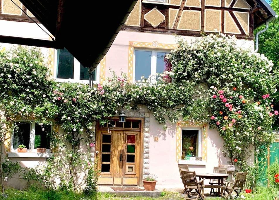 Kleine Kunstremise Mit Holzofen Burg Freienfels Daire Weinbach Dış mekan fotoğraf